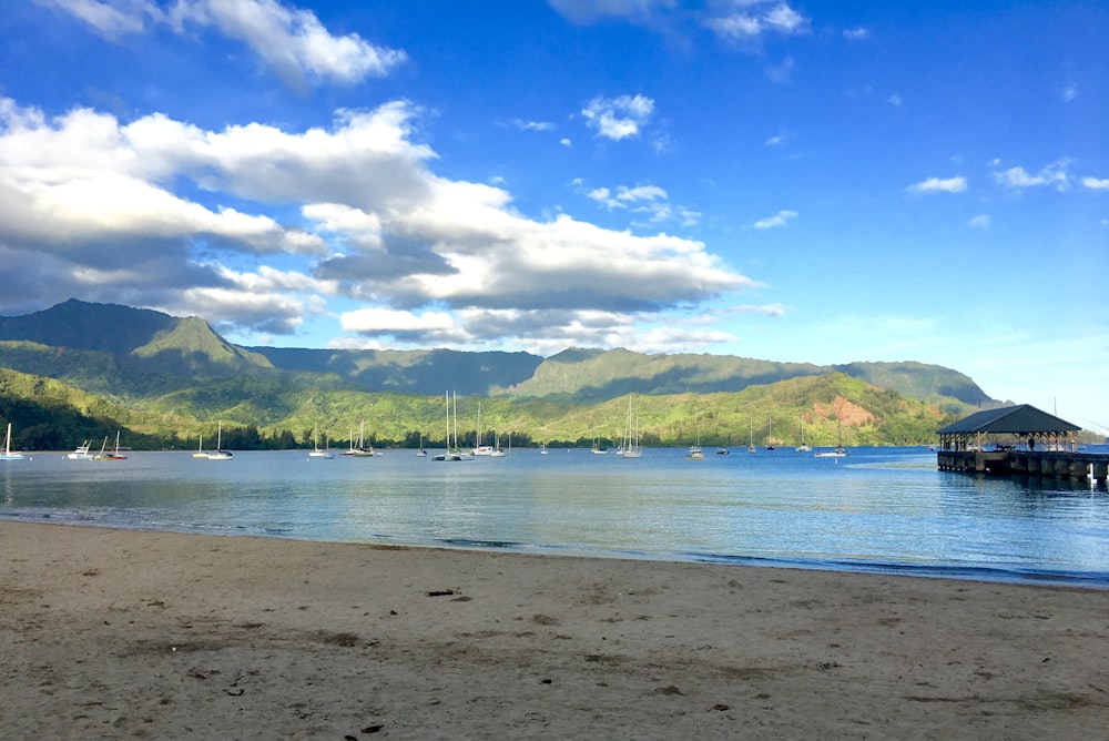 body of water and island