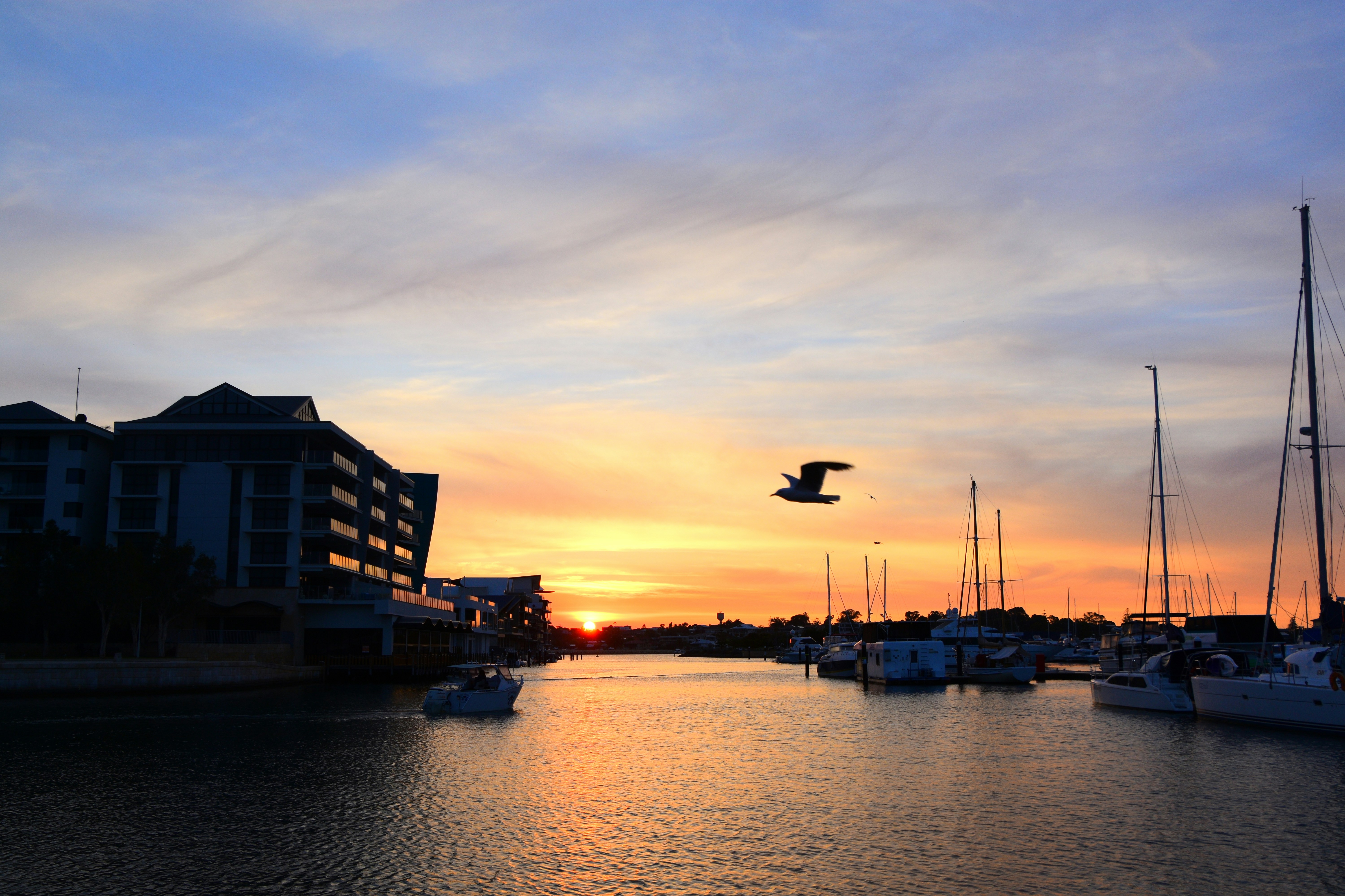 Different boats on body of water showing high-rise buildings under ...