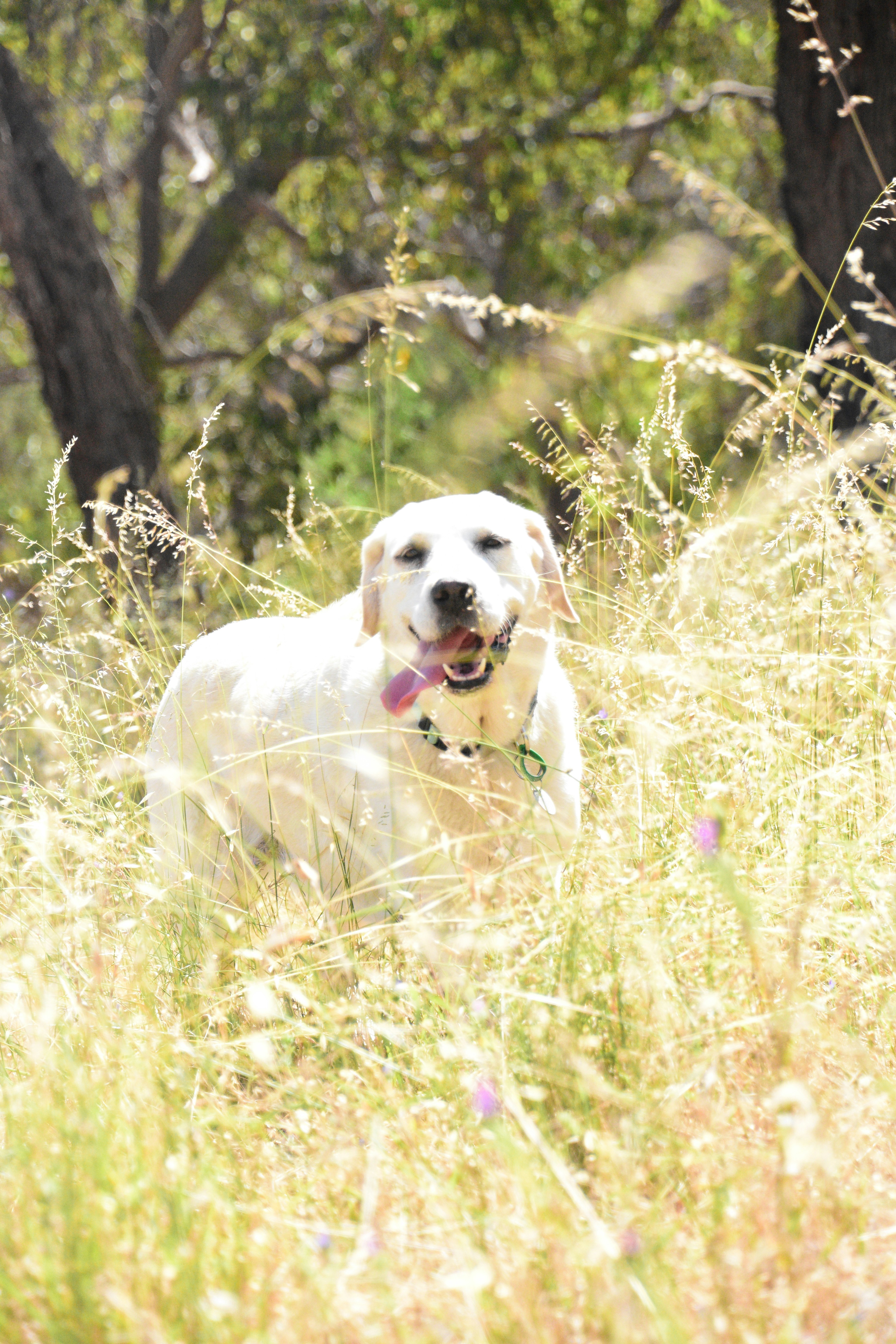 Photo by michellem18