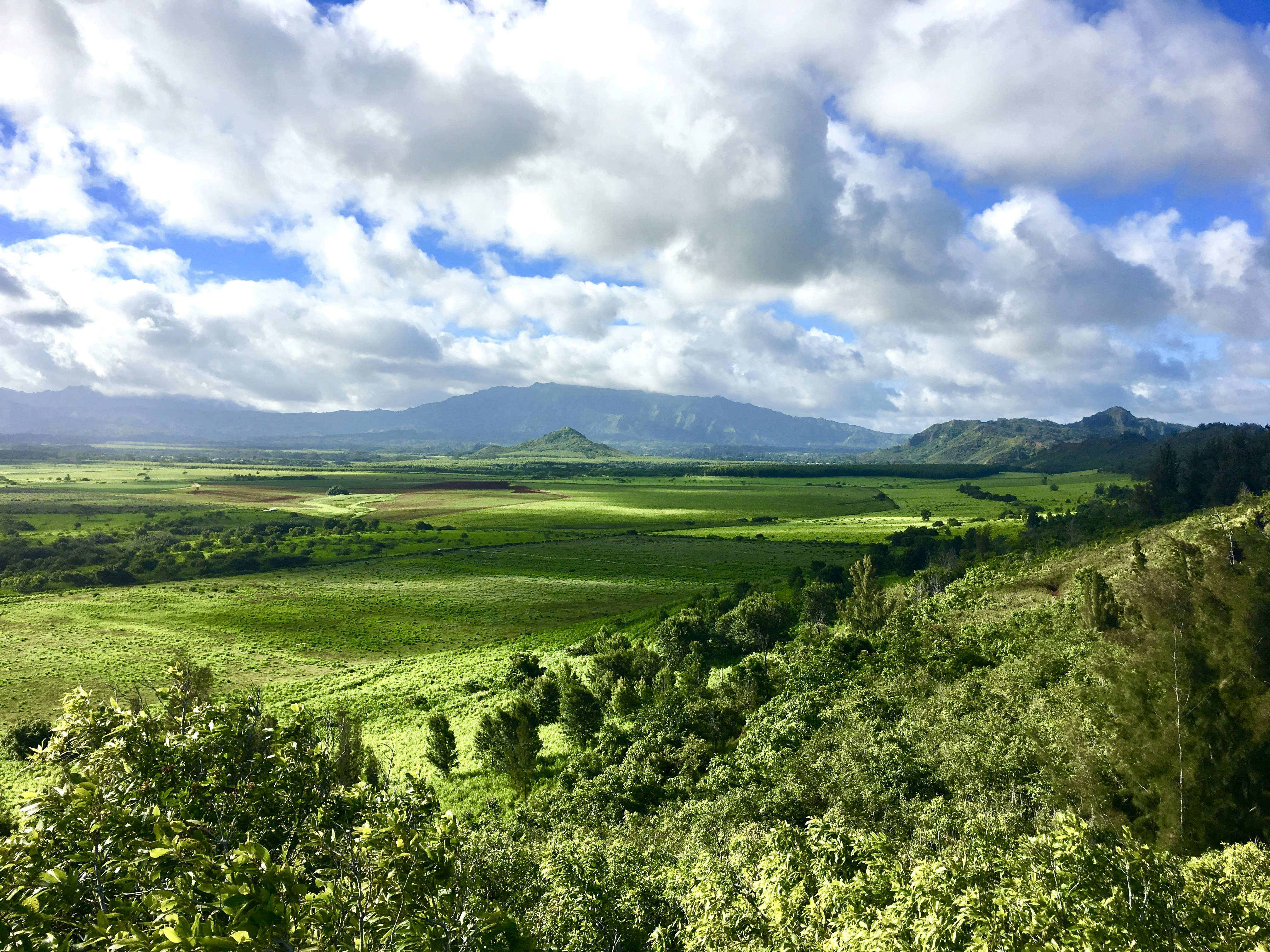 Photo by jasoncarnegiephotographykauai
