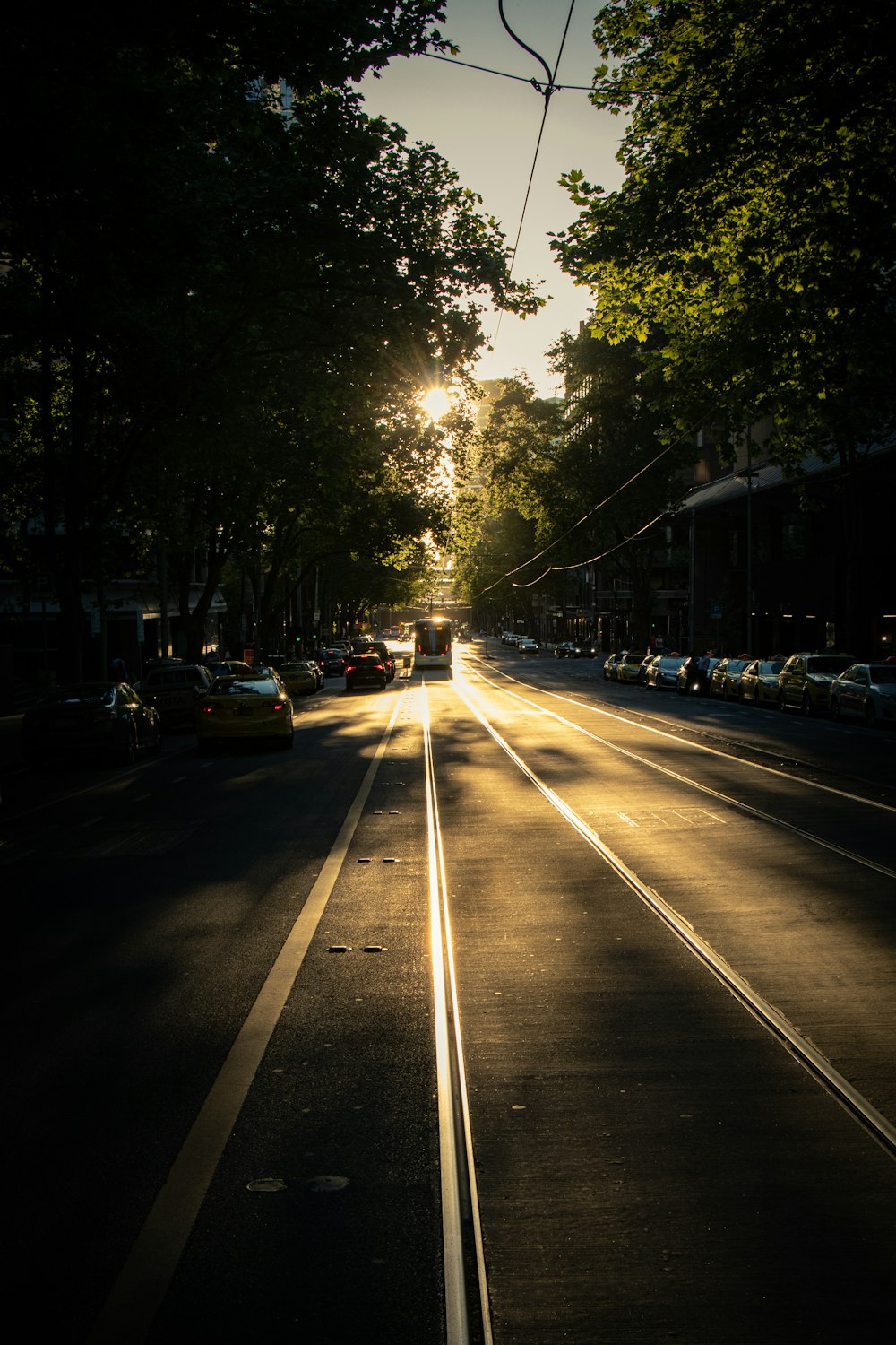 white vehicle on the road