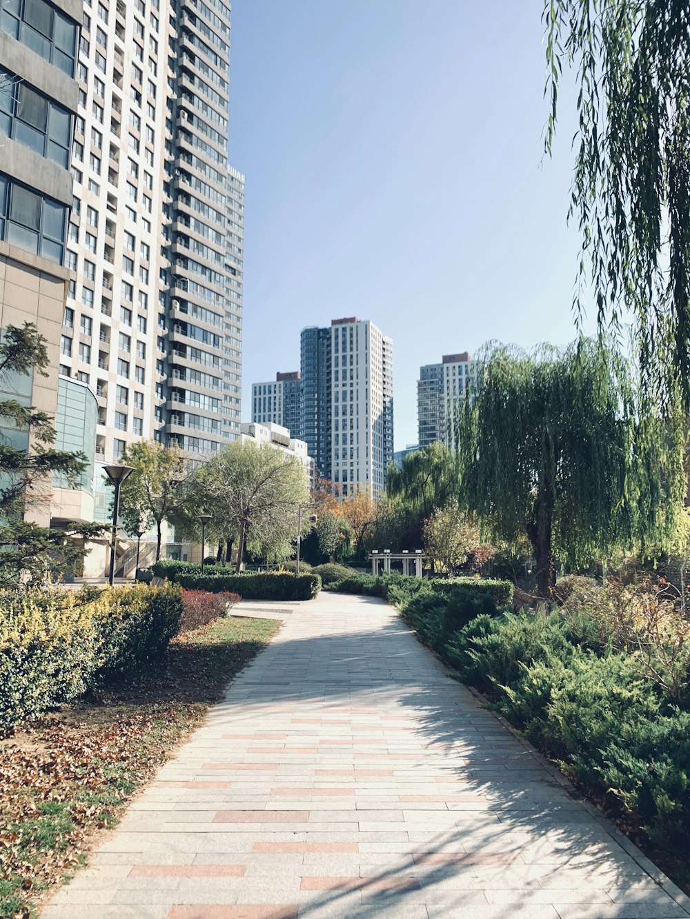 gray concrete walkway