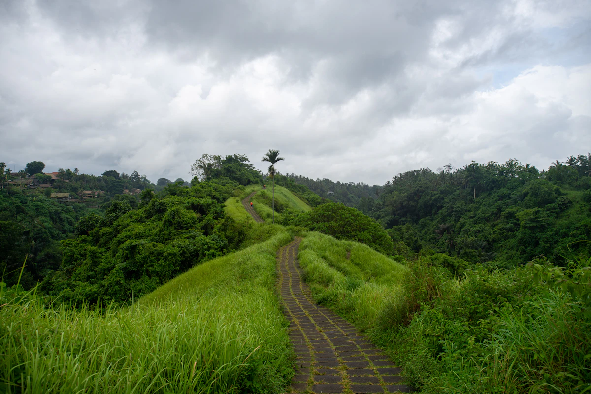 Scenic highlights of Tohpati Hand-Drawn Batik Tulis & Natural Indigo Vats in Sukawati / Ubud