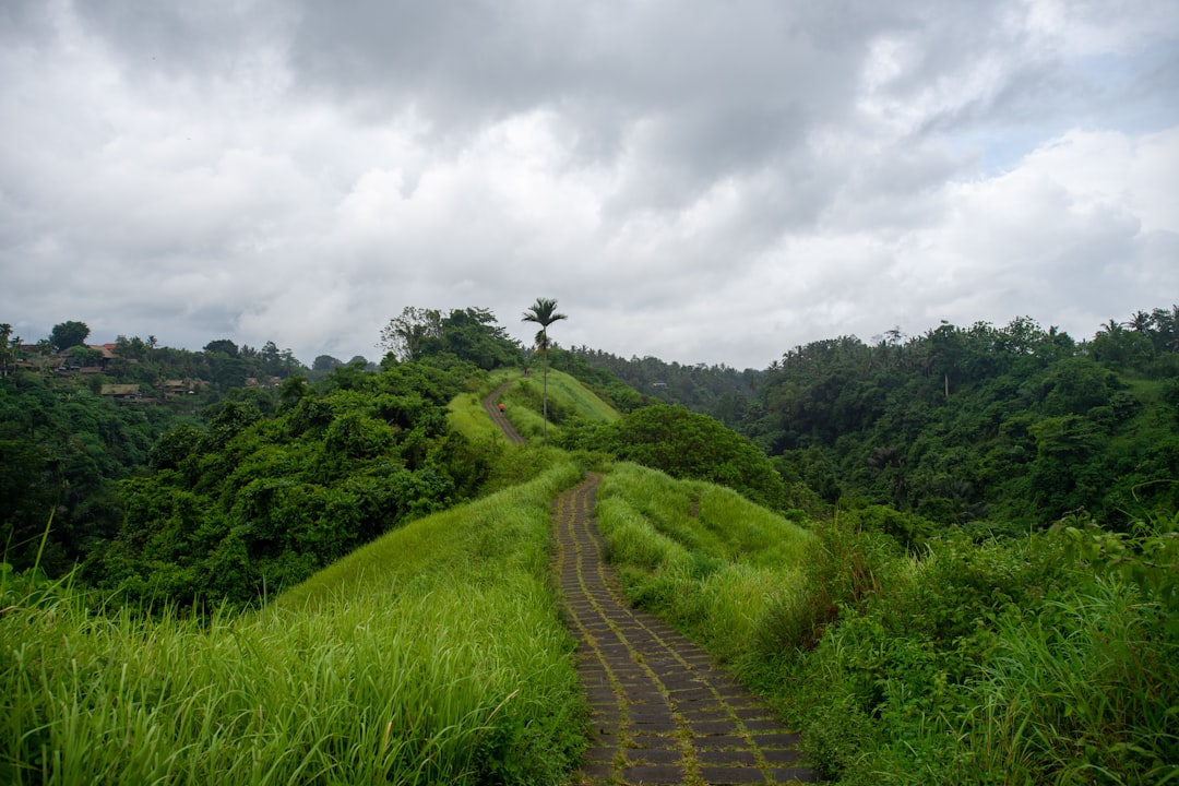 Nature reserve photo spot Ubud Nusa Penida