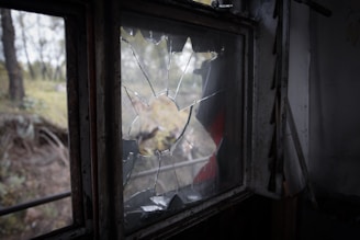 A window with shattered glass overlooking a blurred outdoor scene with trees and soft natural light. The broken glass panes are jagged with some pieces missing.
