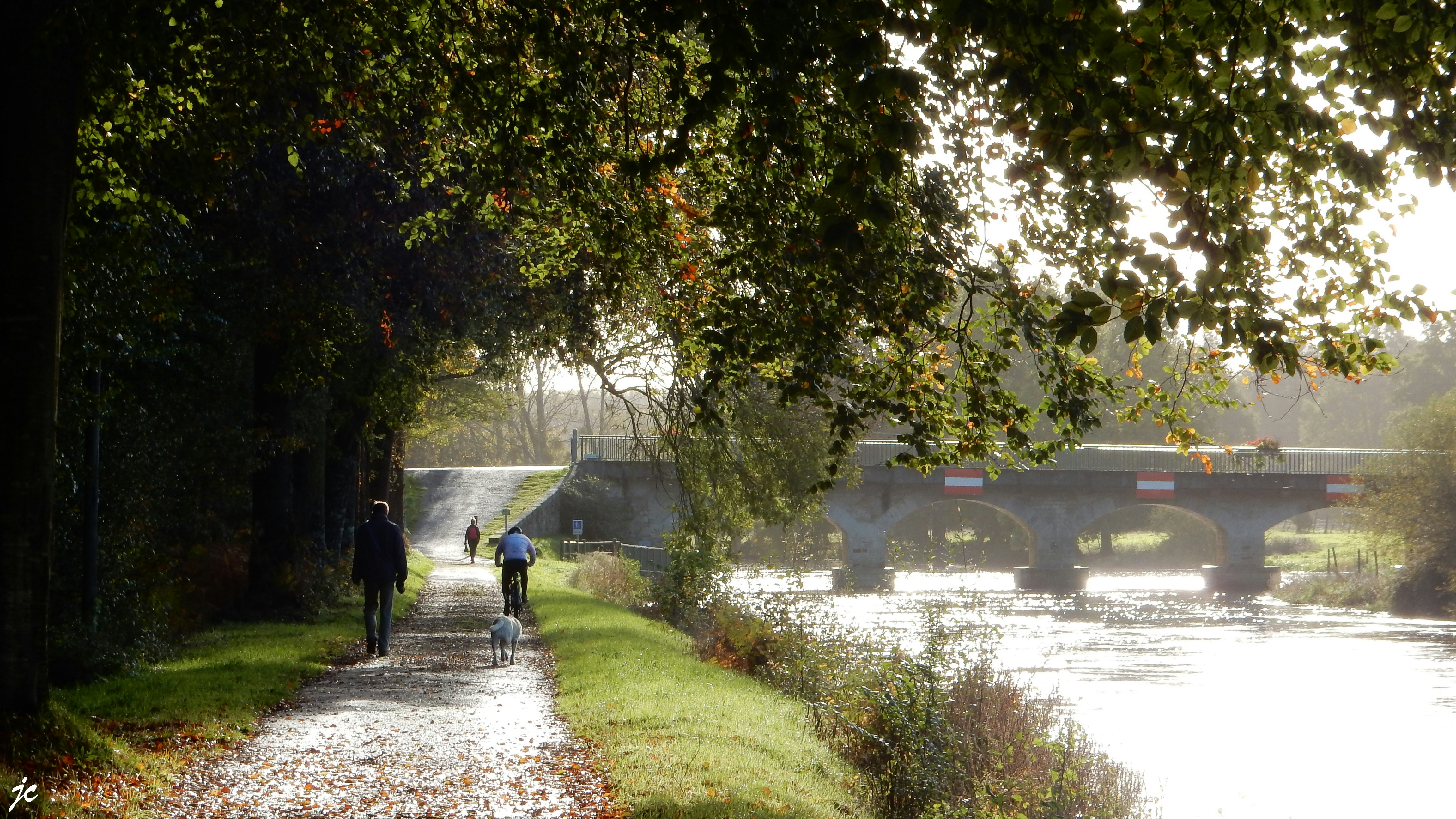 personnes marchant sur le sentier