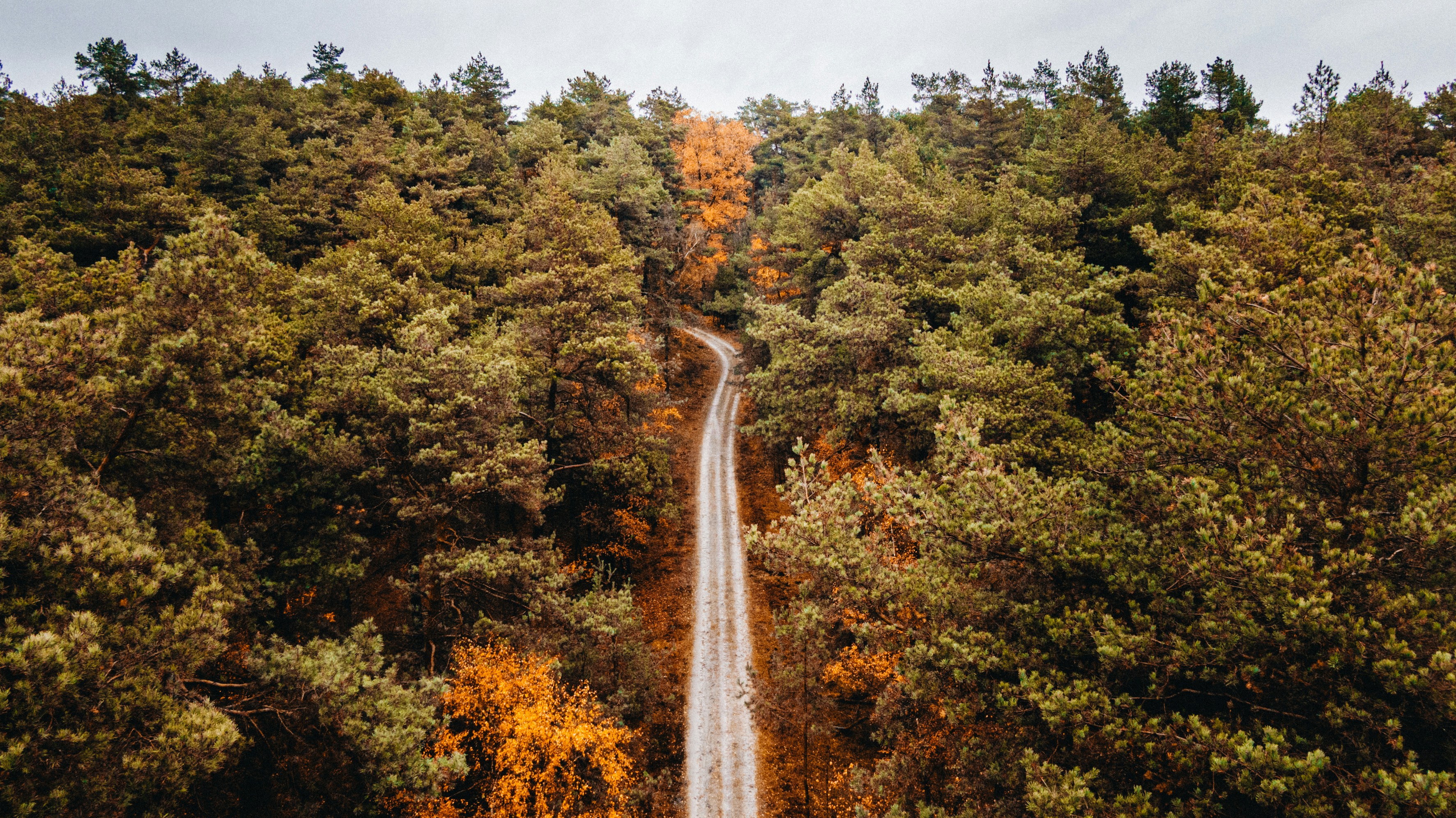 Afbeelding van Kootwijk