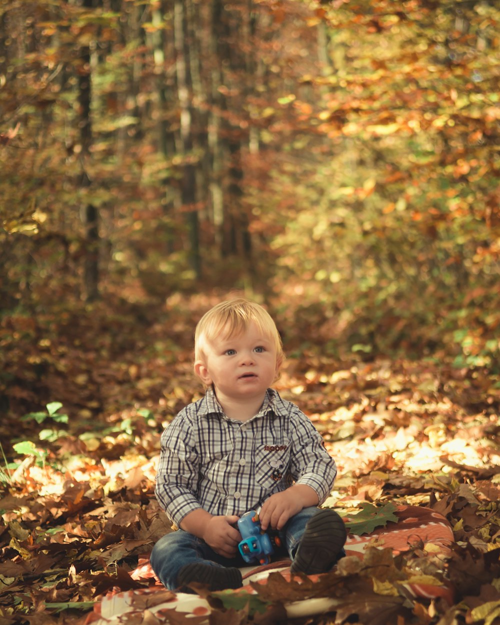 baby sitting on grass field