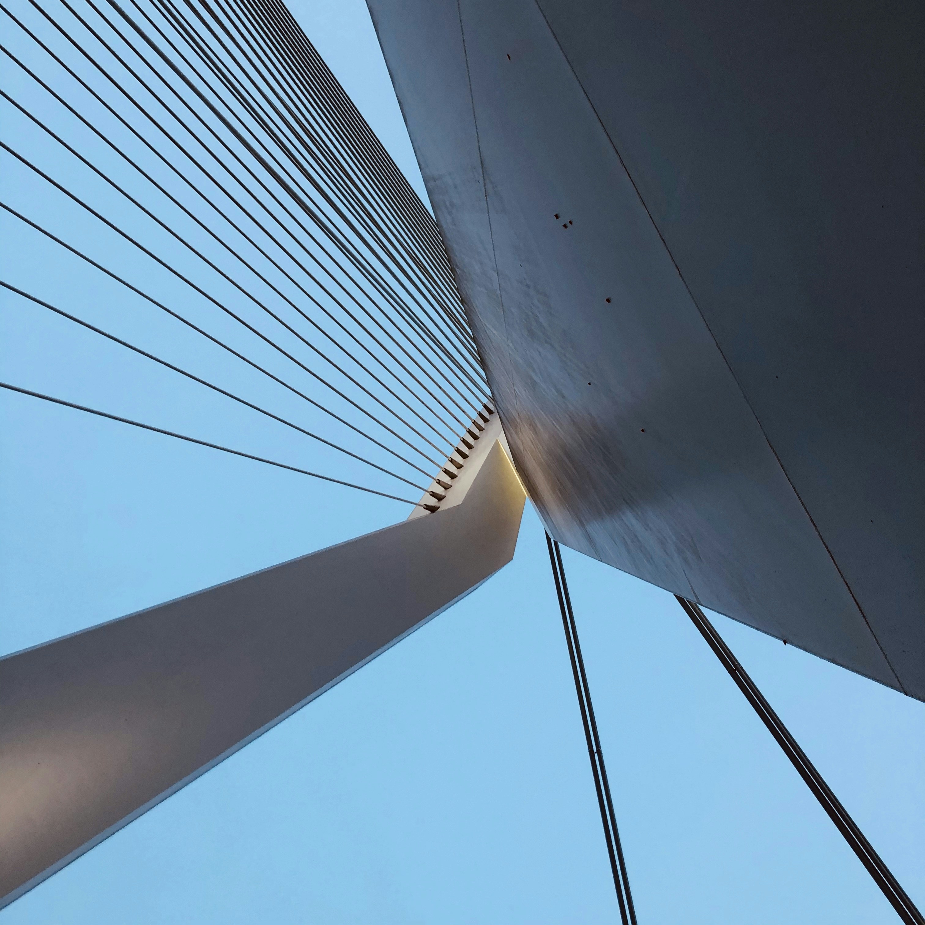 Photo by maartenscheer