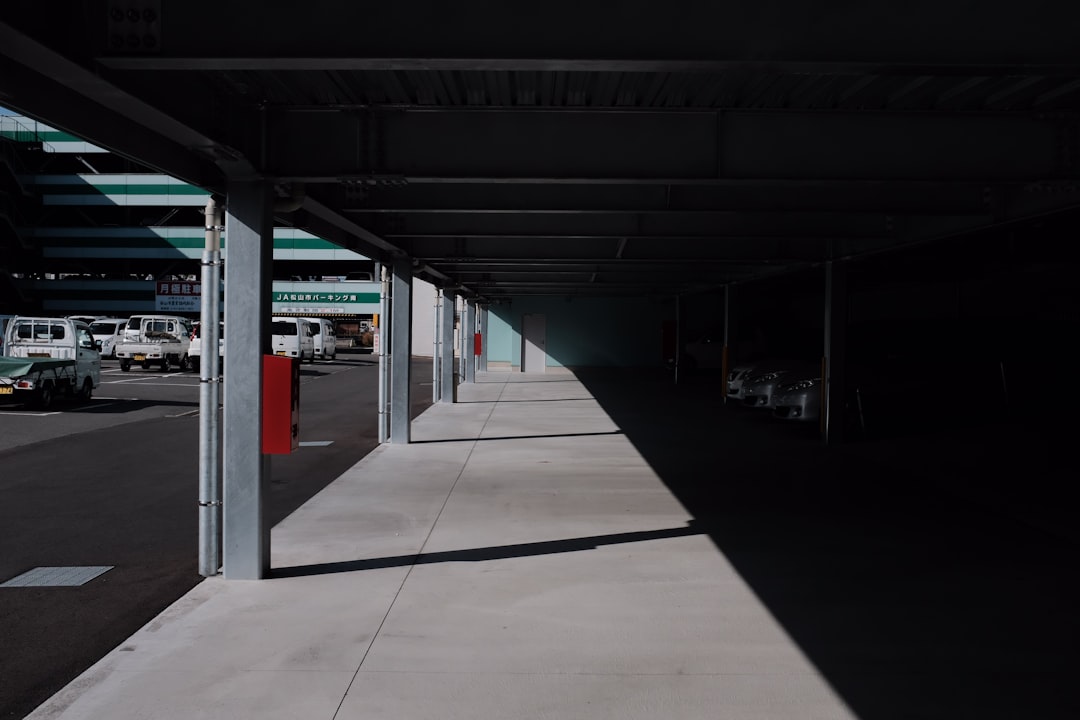 landscape photography of shadow in building