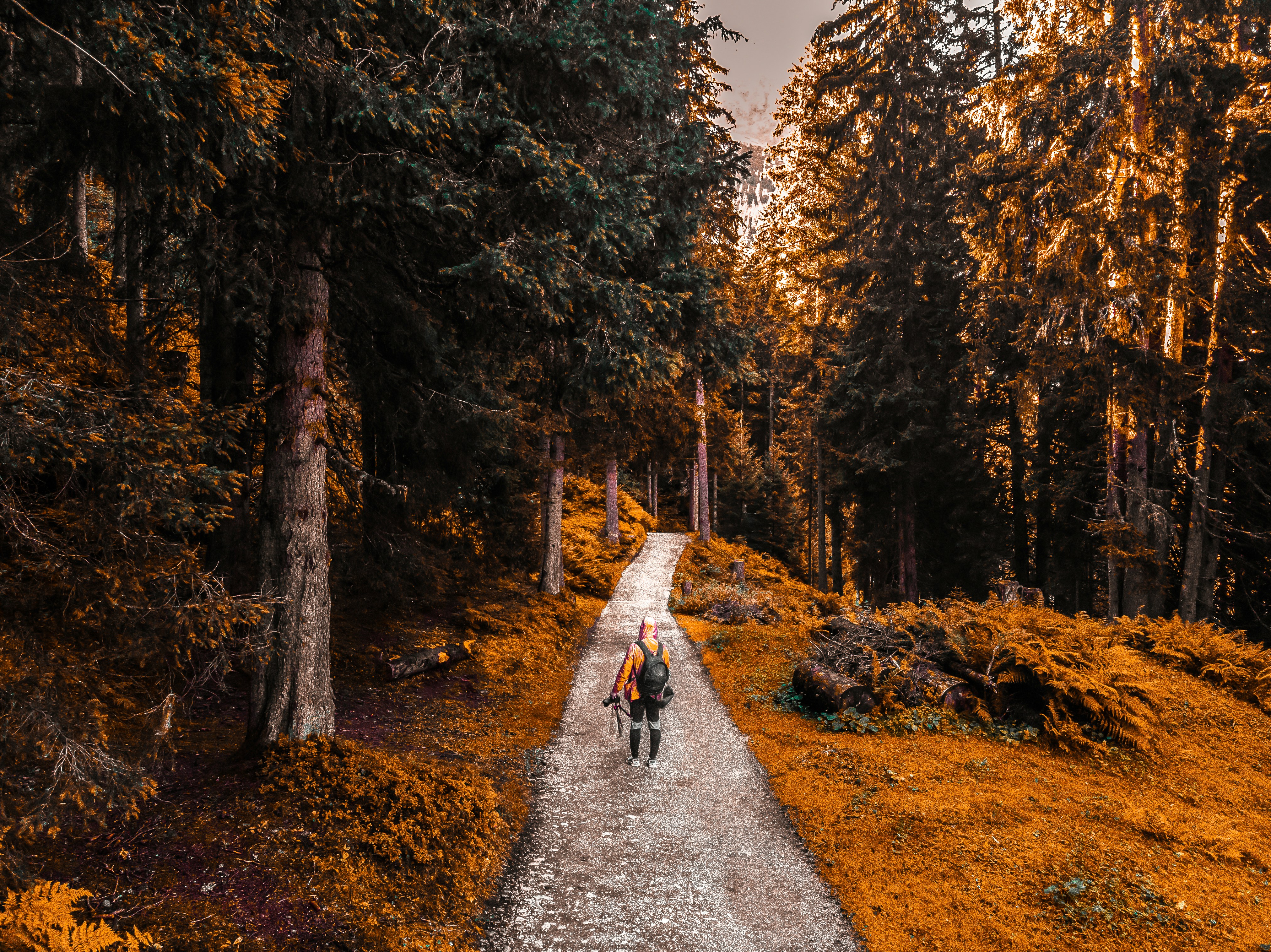 Photo by lukas_blass