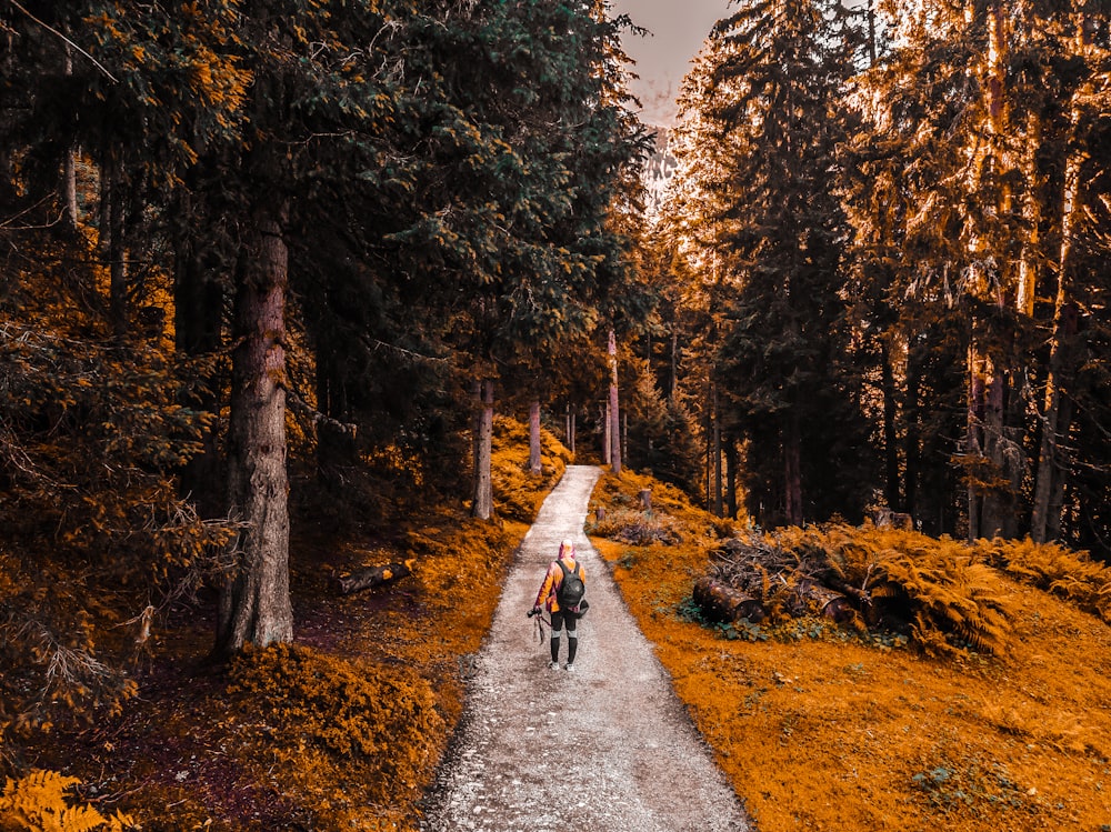 man walking at walkway surrounded by trees