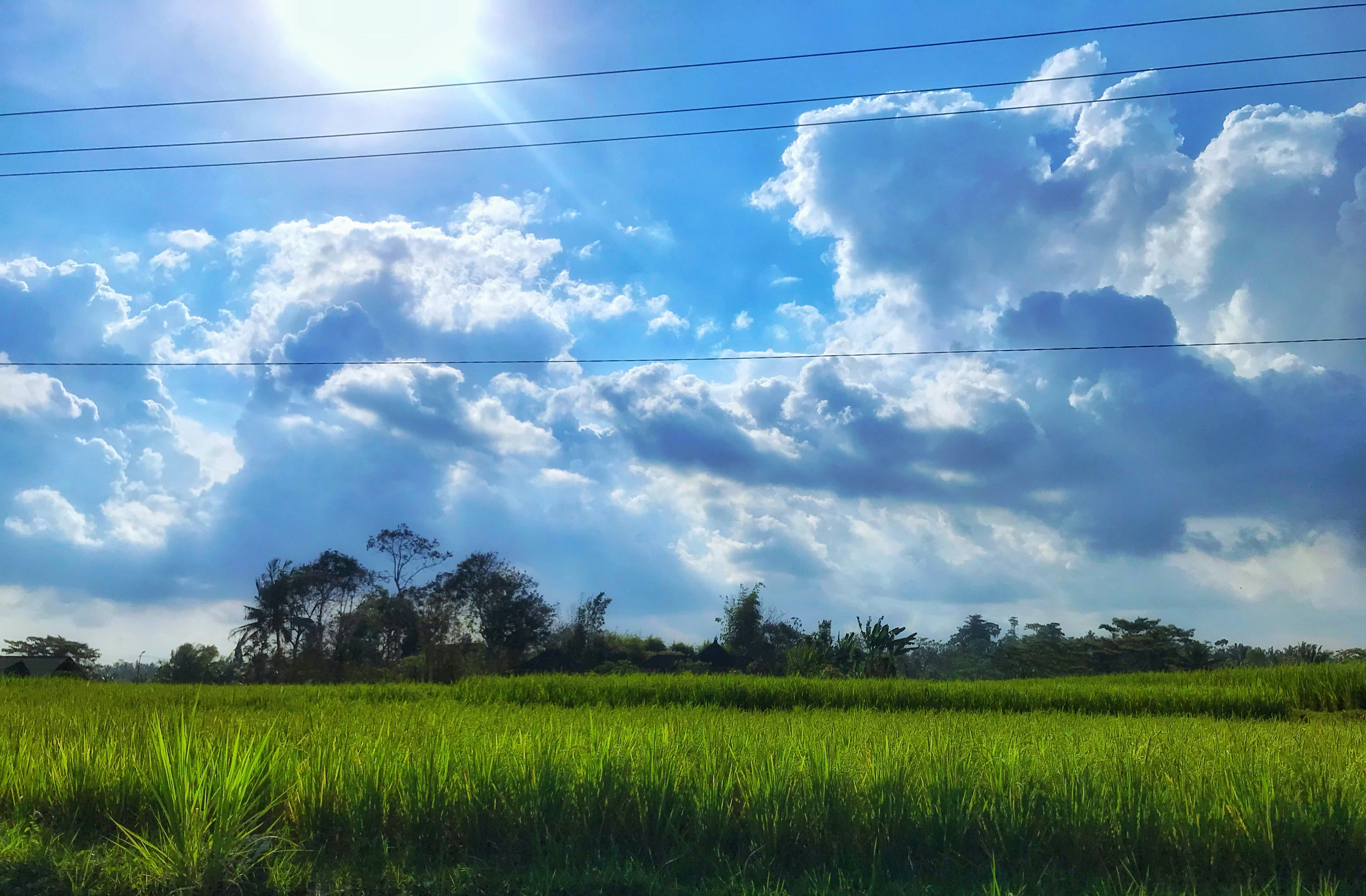 Photo by binnymanohar