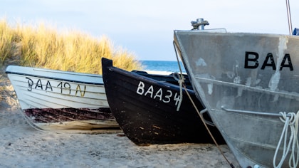 three gray, black, and white canoes
