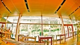 A cozy restaurant interior featuring large windows with a view of a lush, wooded landscape. The room has a warm wooden ceiling with modern lighting fixtures. Various tables and chairs are neatly arranged, some set for dining.