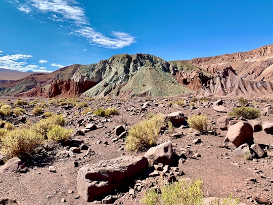 Valle del Arcoiris things to do in El Loa