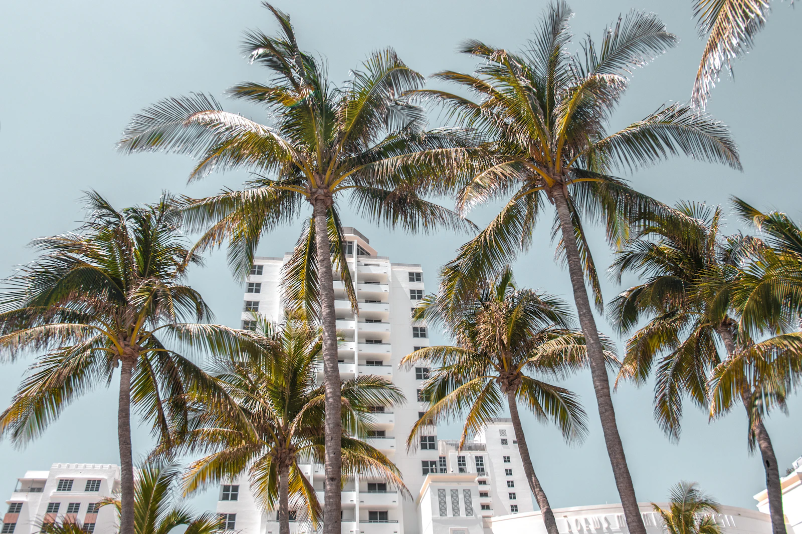 The Ritz-Carlton, South Beach, Miami and Its José Andrés Dining