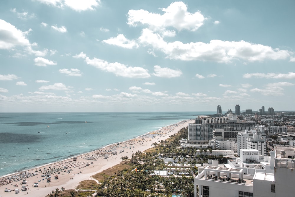 aerial photo of buildings beside beach