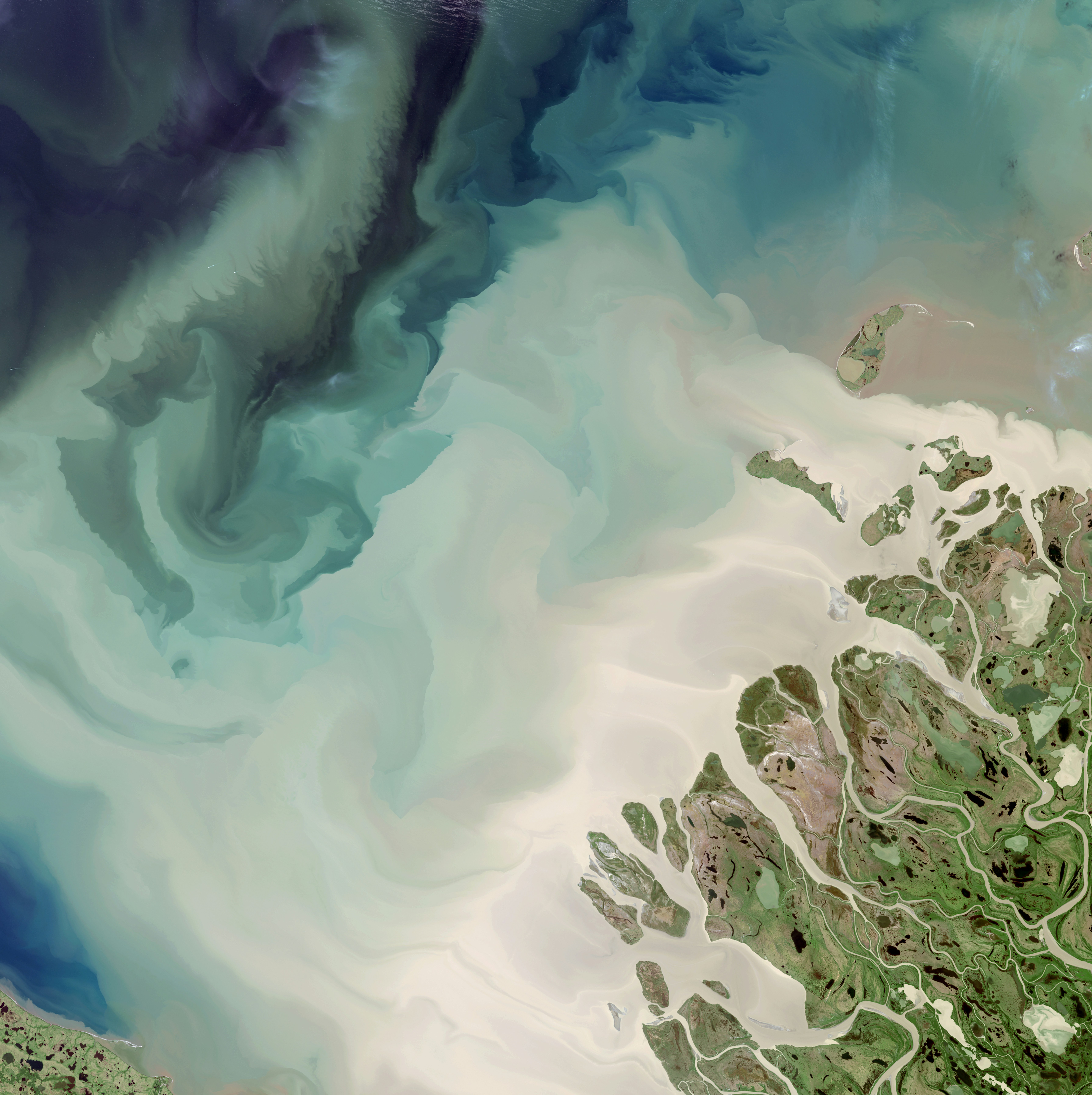 In far northern Canada, pulses of freshwater flow down rivers after inland ice and snow melts. These pulses, known as a freshet, carry huge amounts of sediment. The sediment seen in this image flowed into the Beaufort Sea from the Mackenzie River, the longest northward-flowing river in North America.