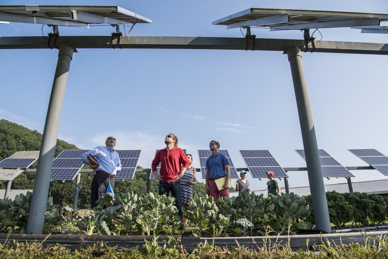 Home sustainability Trends