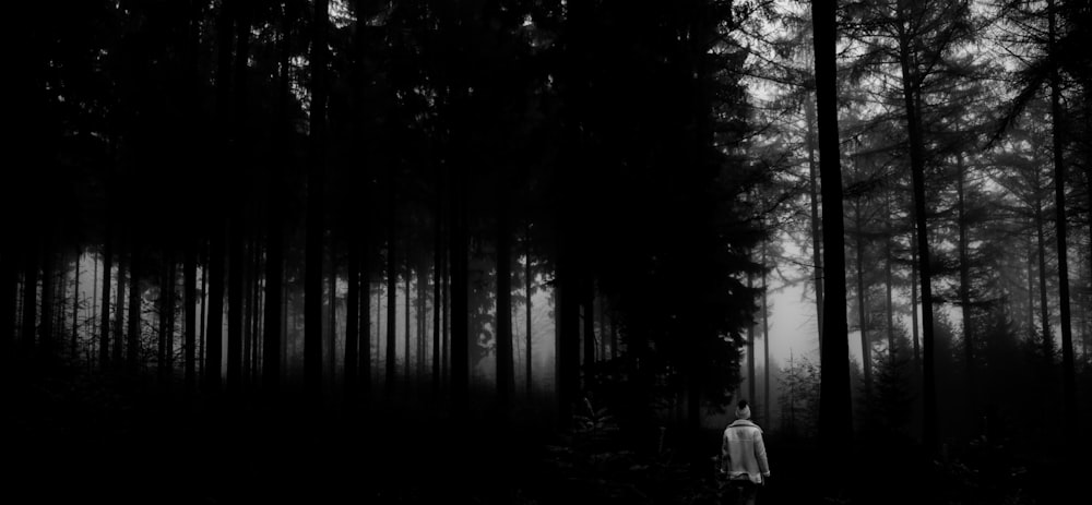 a person standing in the middle of a forest