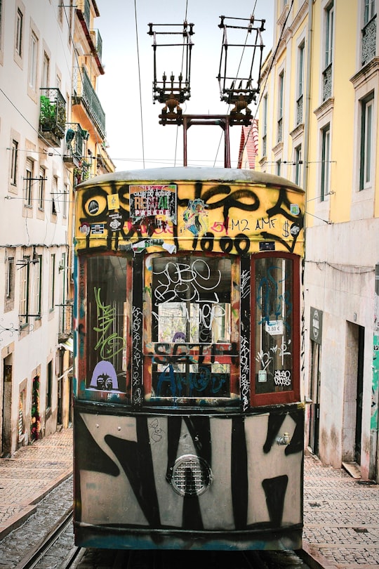 yellow and gray train in Elevador da Bica Portugal