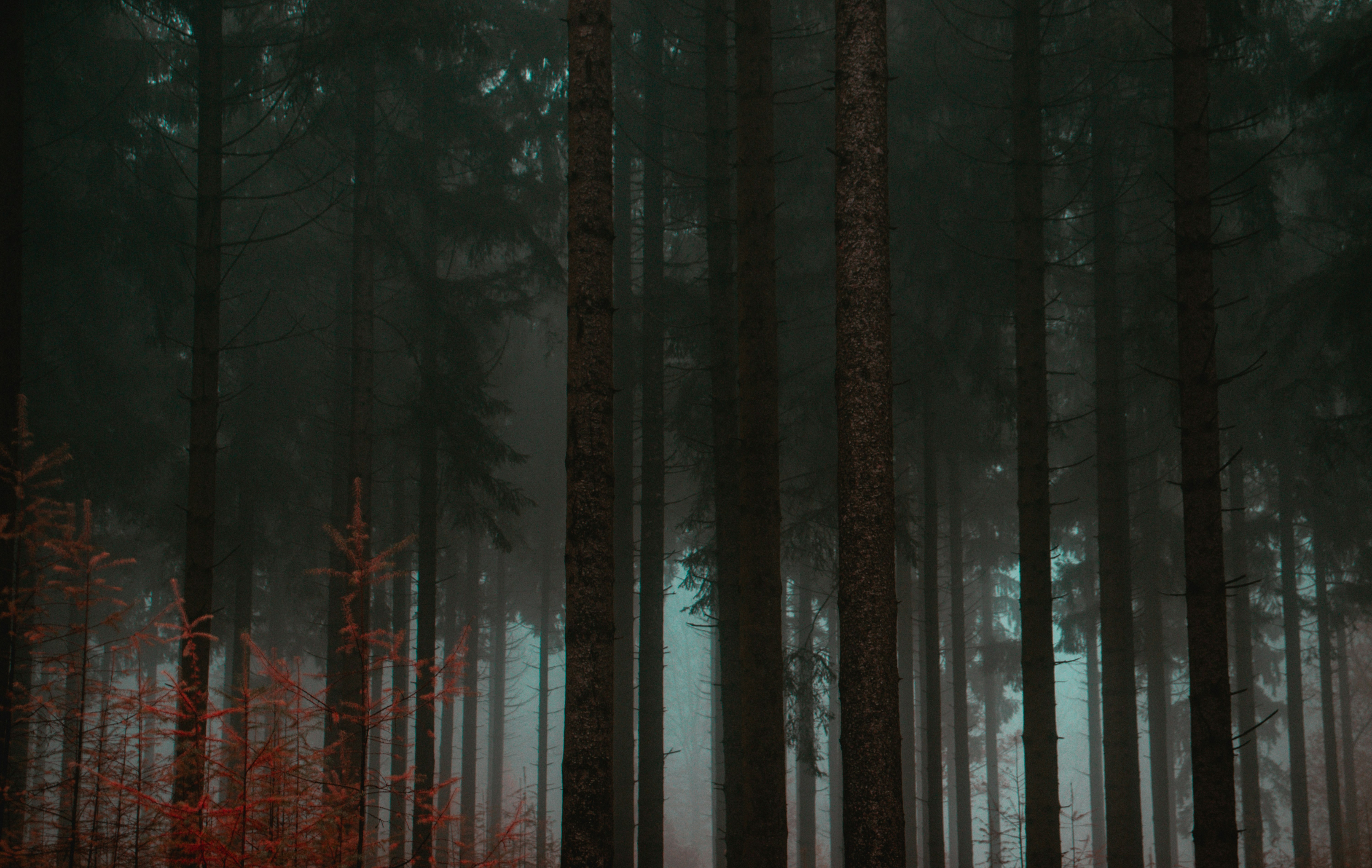 Photo by valentinlacoste