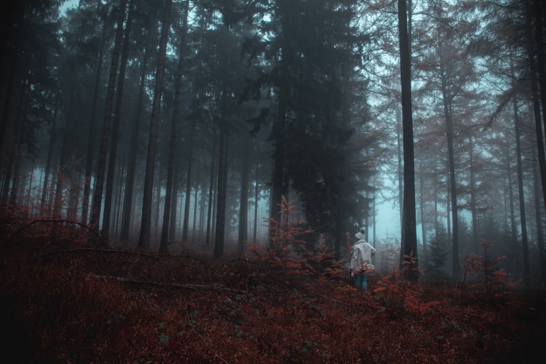 woman walking inside forest