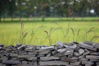 A modern retaining wall made of stacked stone, supporting a tiered garden with ornamental grasses.