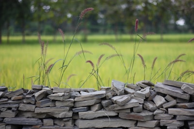 Close-up of a freshly built stone retaining wall with vibrant greenery around.
