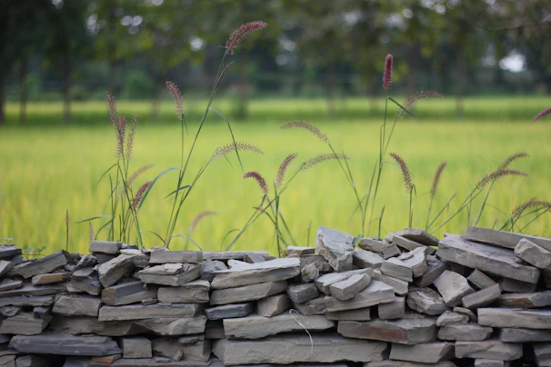 Close-up of a freshly installed retaining wall blending naturally with surrounding greenery.