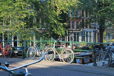 A row of bicycles is parked along a canal in a city with traditional buildings. Lush green trees line the street, casting dappled sunlight. The scene is vibrant, capturing an urban yet serene atmosphere with a mix of nature and architecture.
