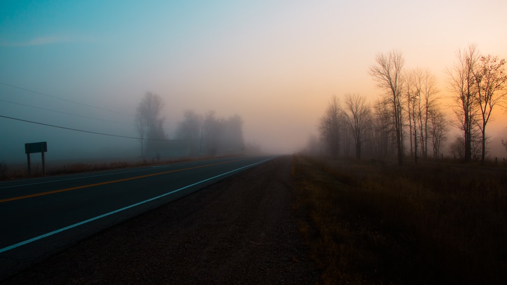 foggy road