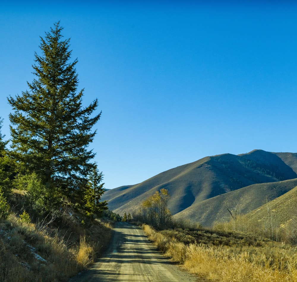 empty street in between of hills and trees