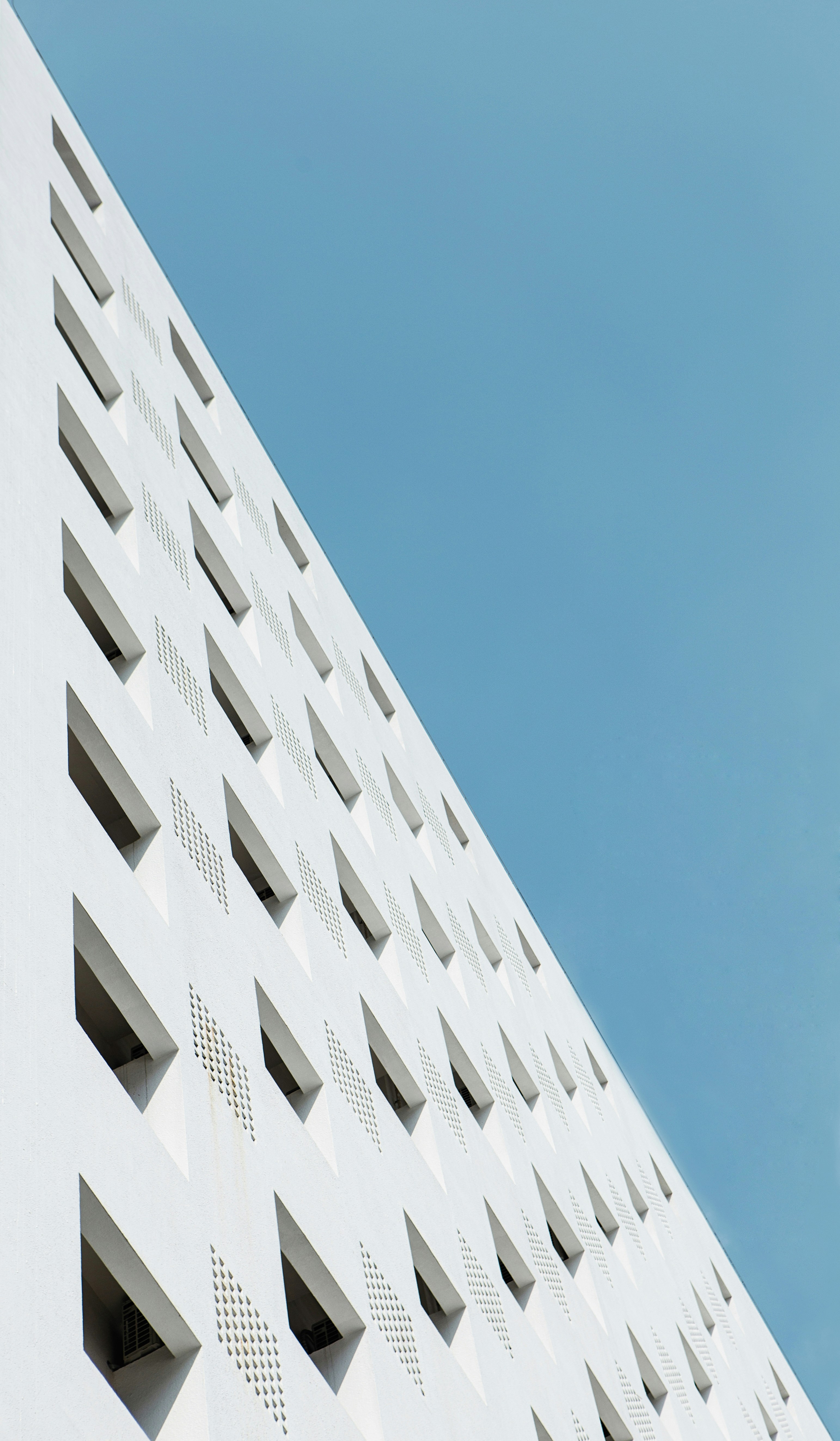 Photo by vinomamba24