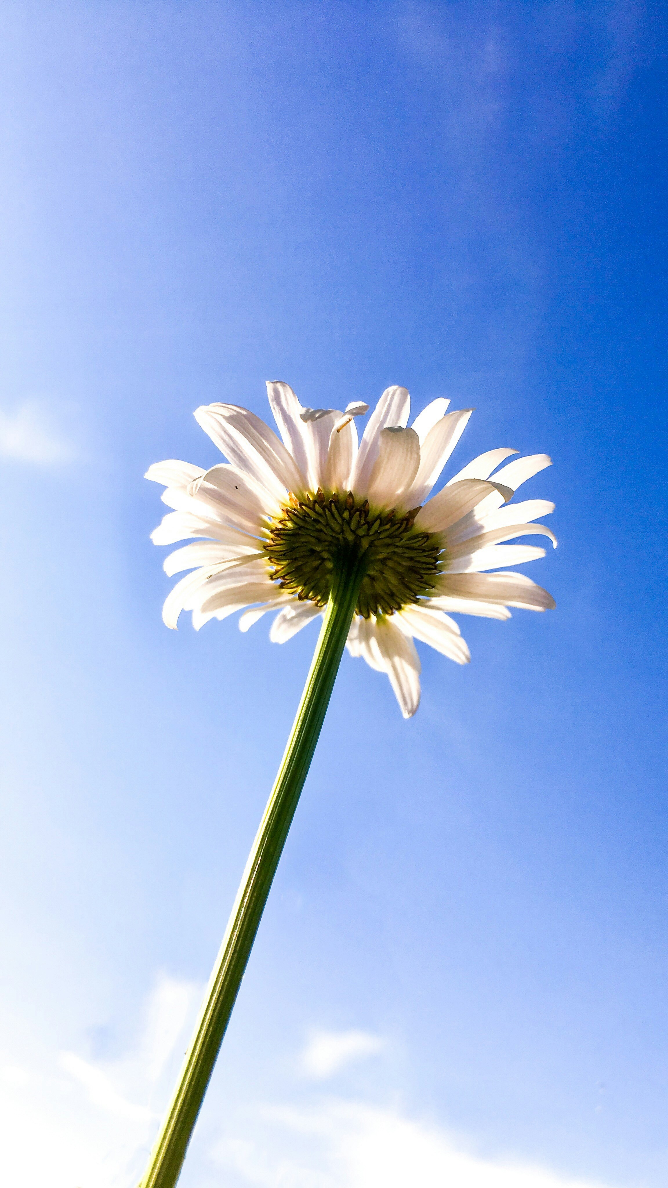 Photo by emmalimillard