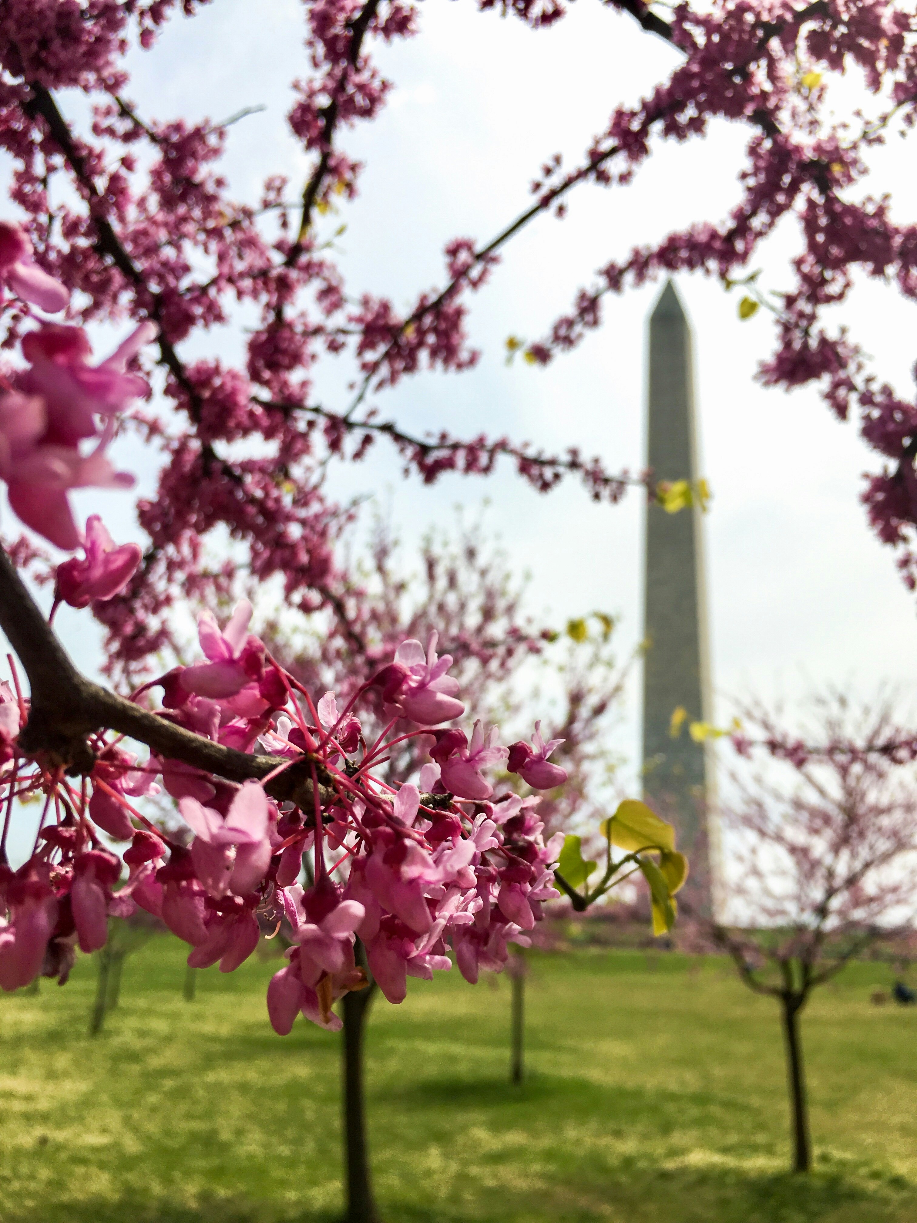 Photo by emmalimillard