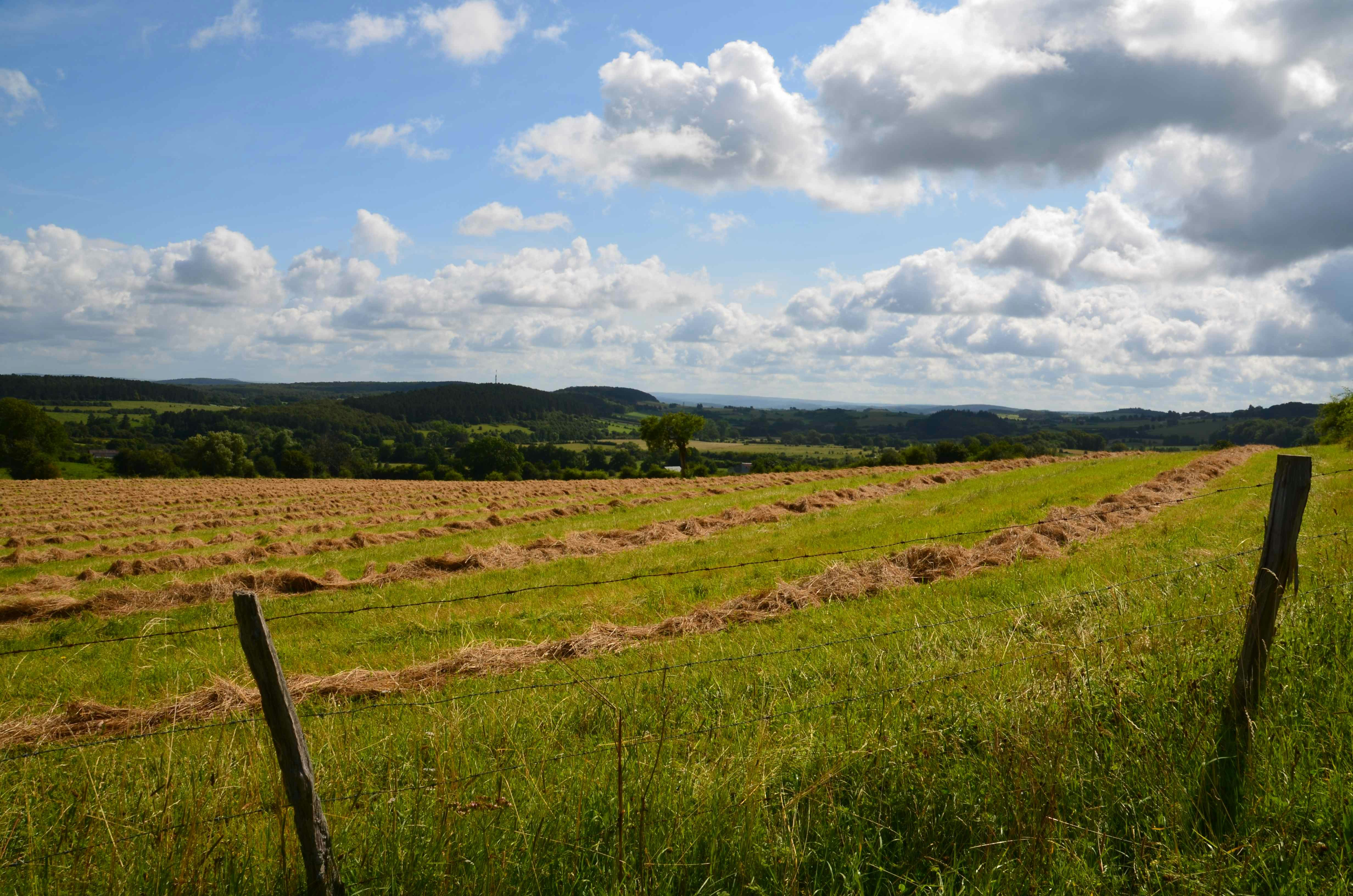 Photo by descampscha