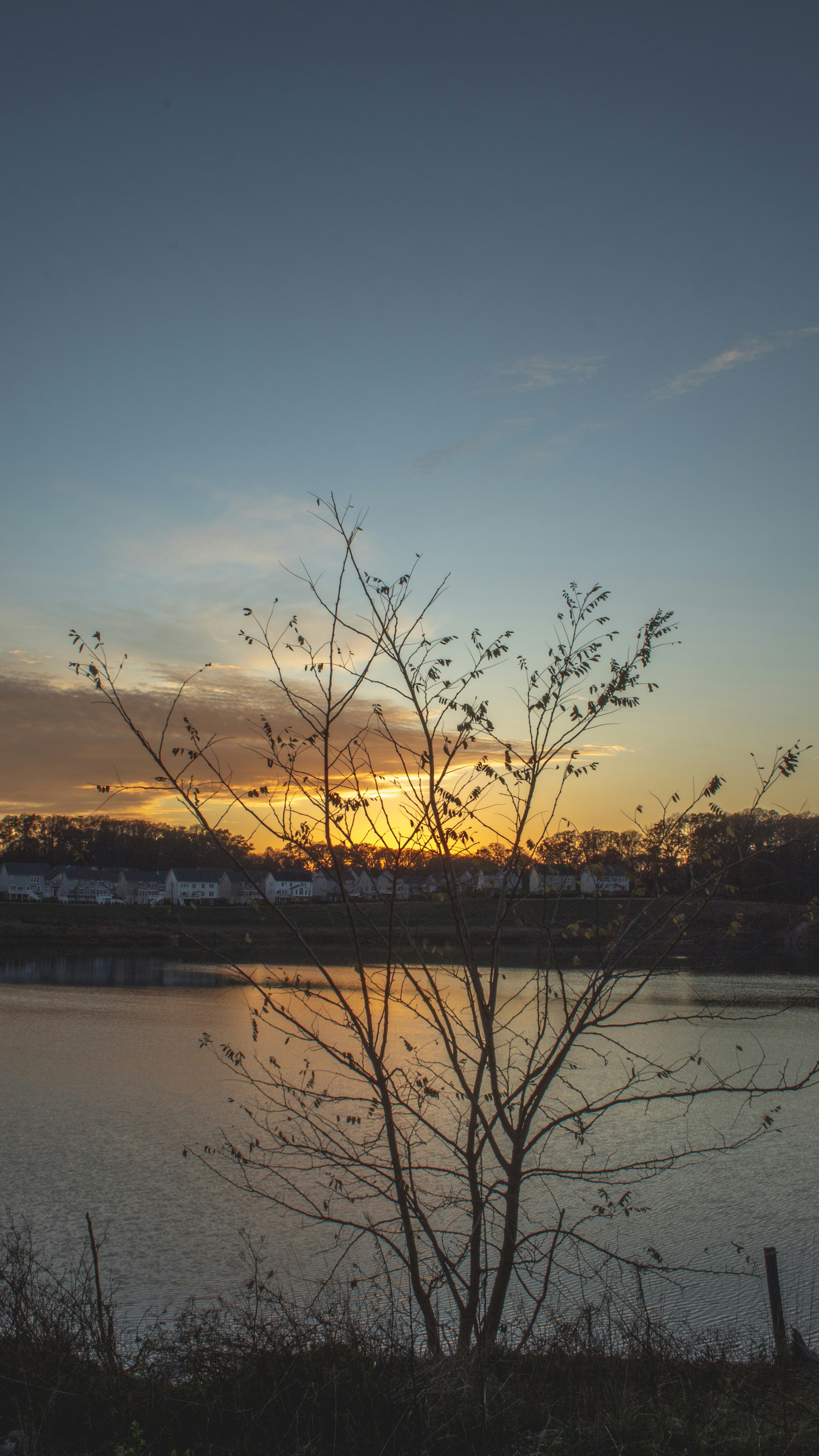 Photo by samaellopez