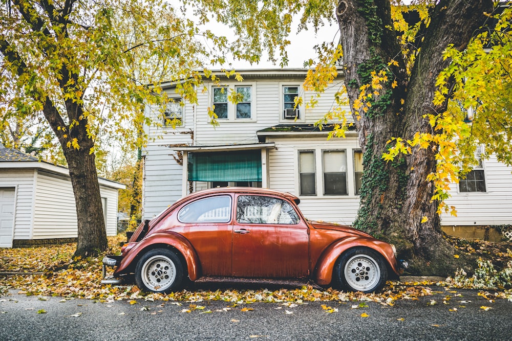 brown Volkswagen Beetle