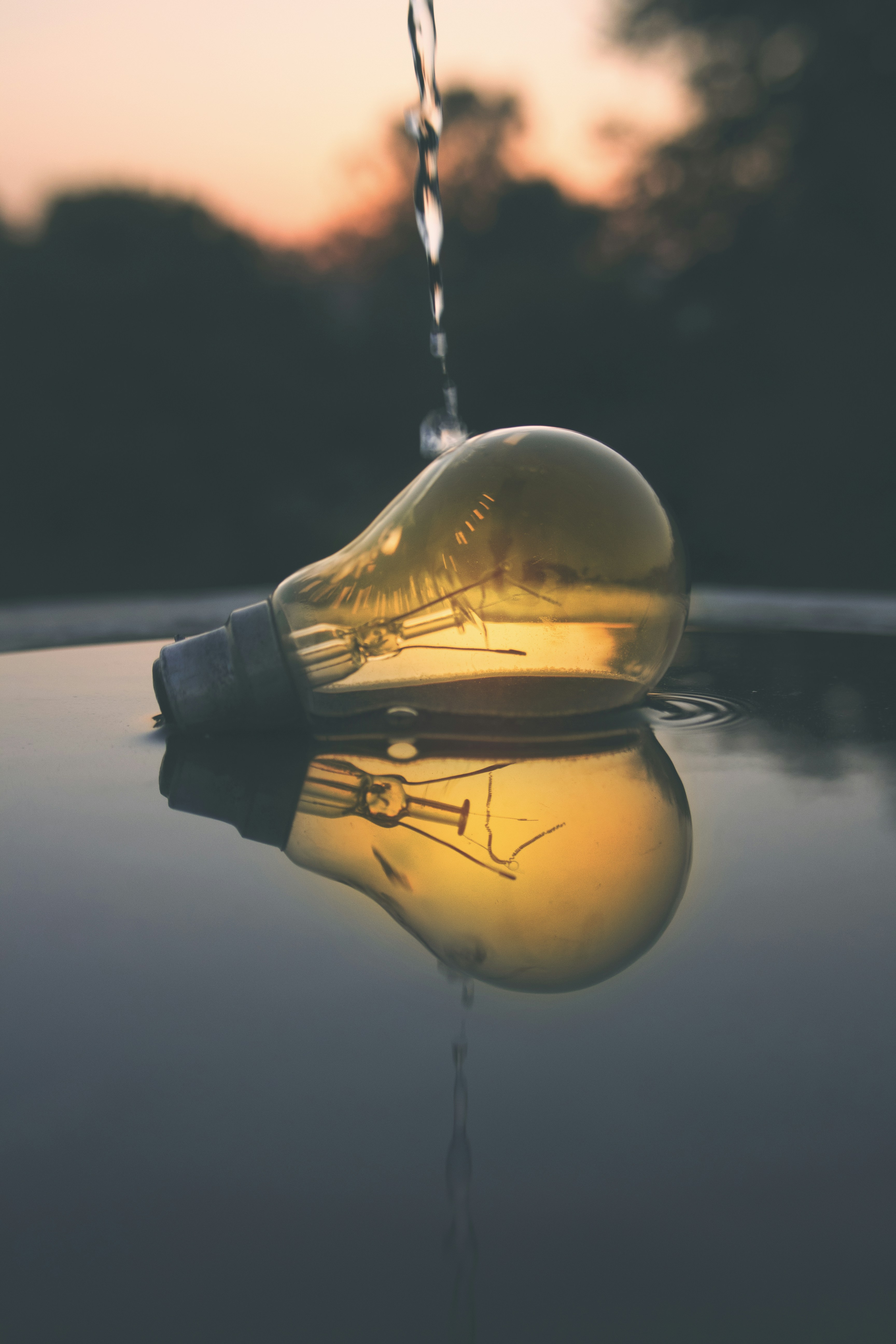 Round Clear Glass Lamp Photo Free Lightbulb Image On Unsplash