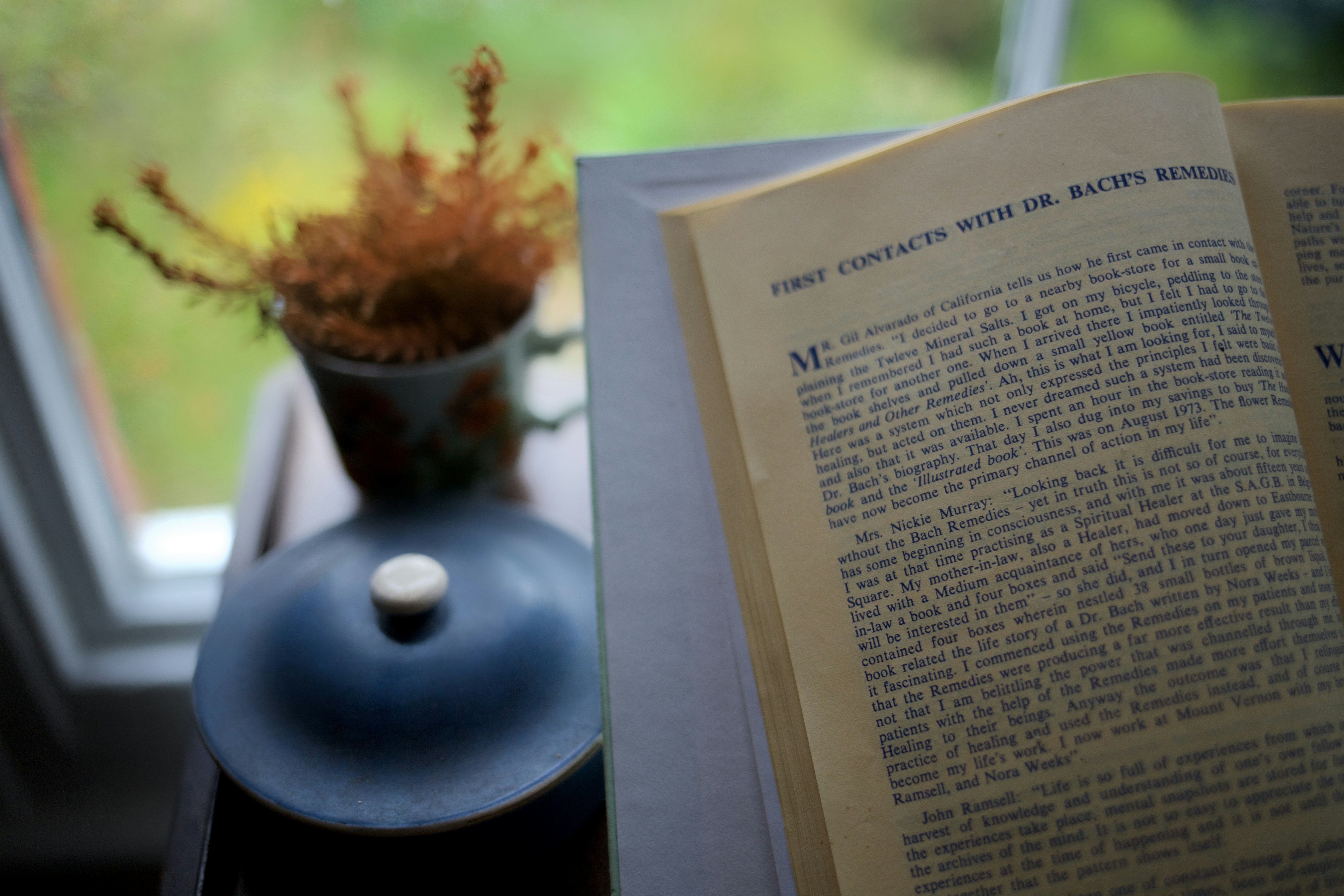Dr Bach remedies book in Dr Bach house.