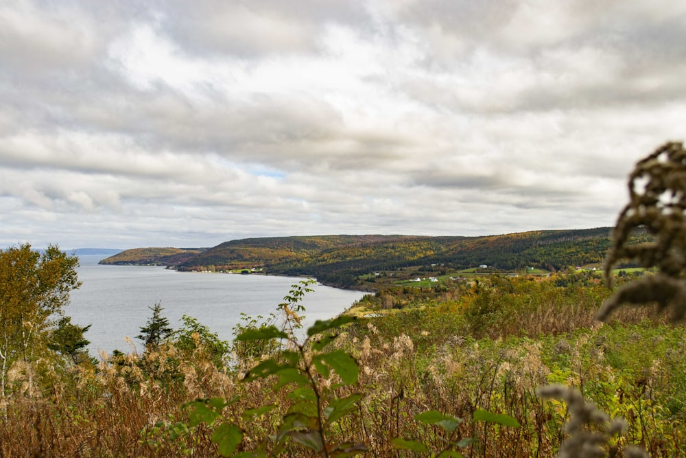 aerial photo of hill near body of water under cloudy sky