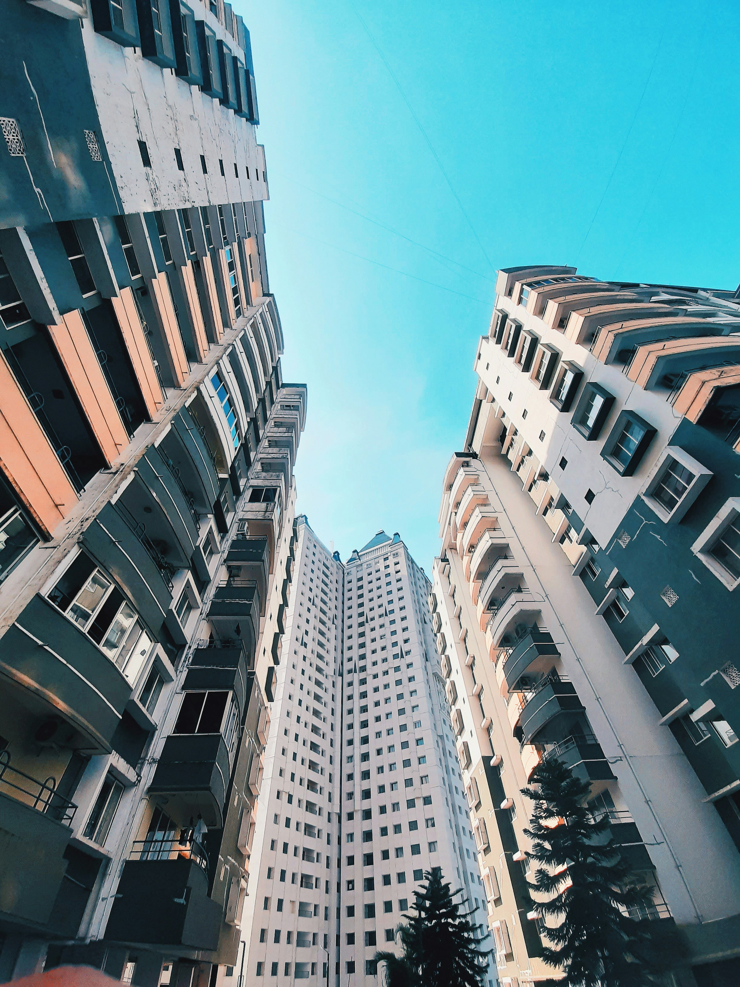 Photo by ameerkhan3683