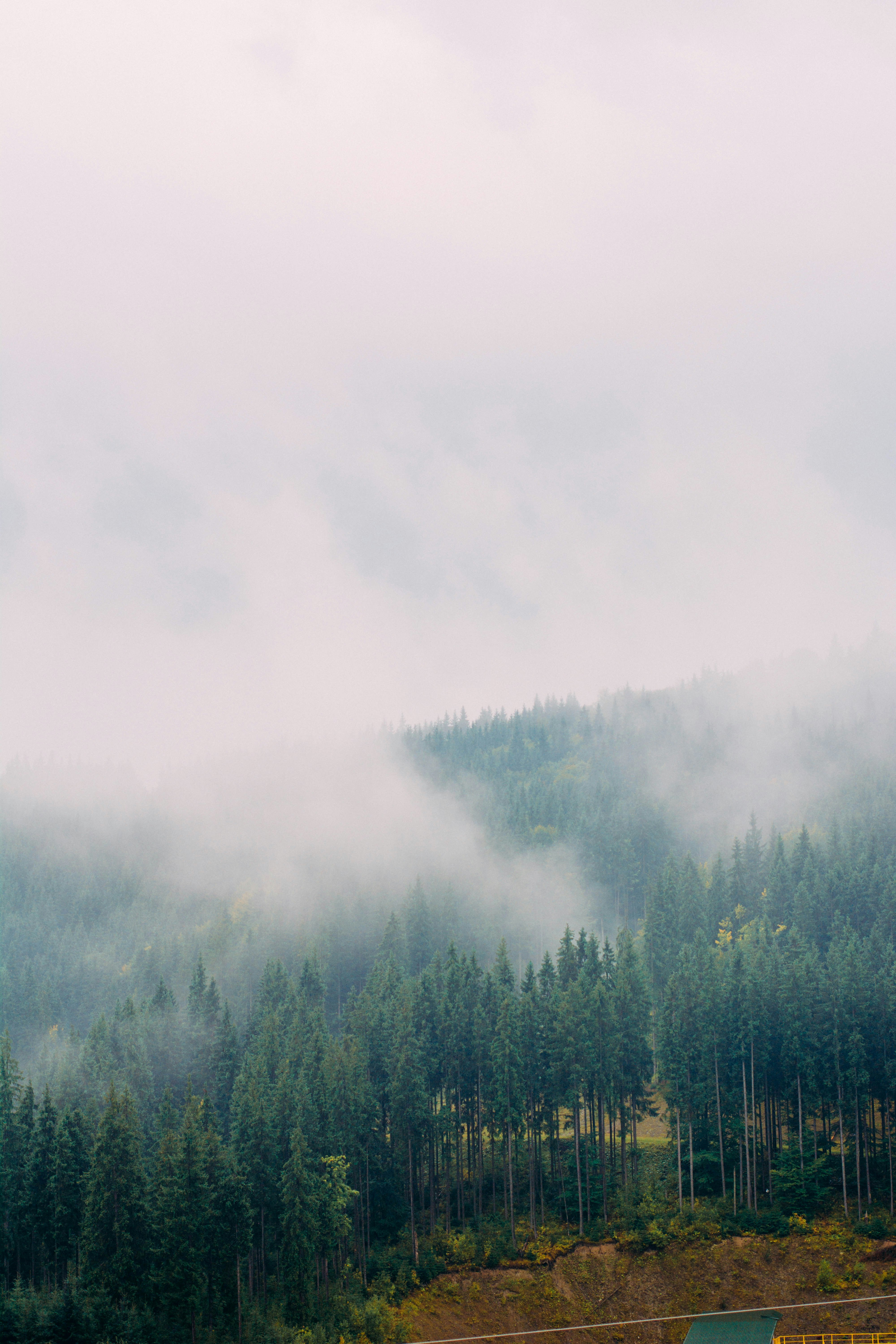 Photo by eugenivy_now