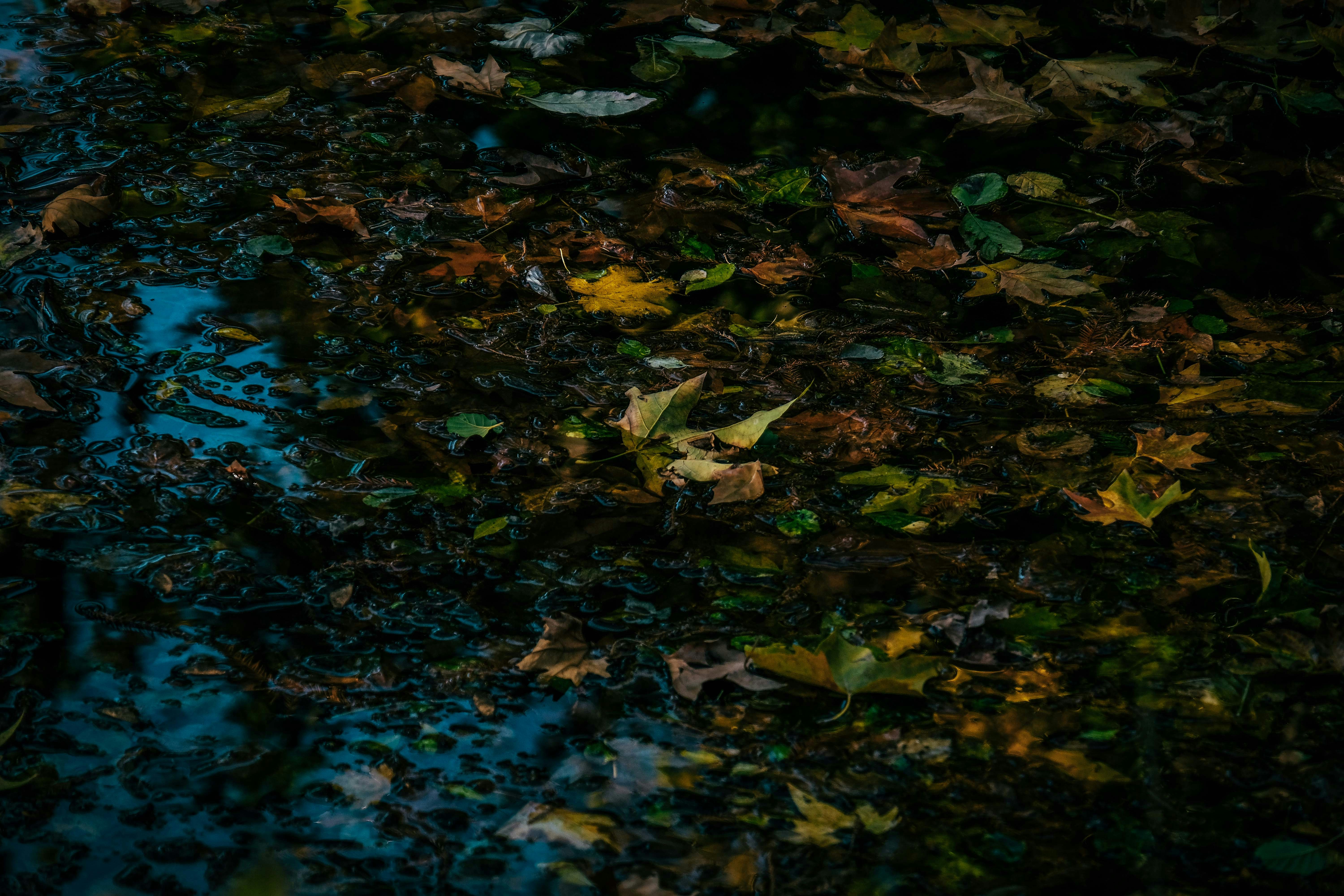 Photo by francesco_ungaro