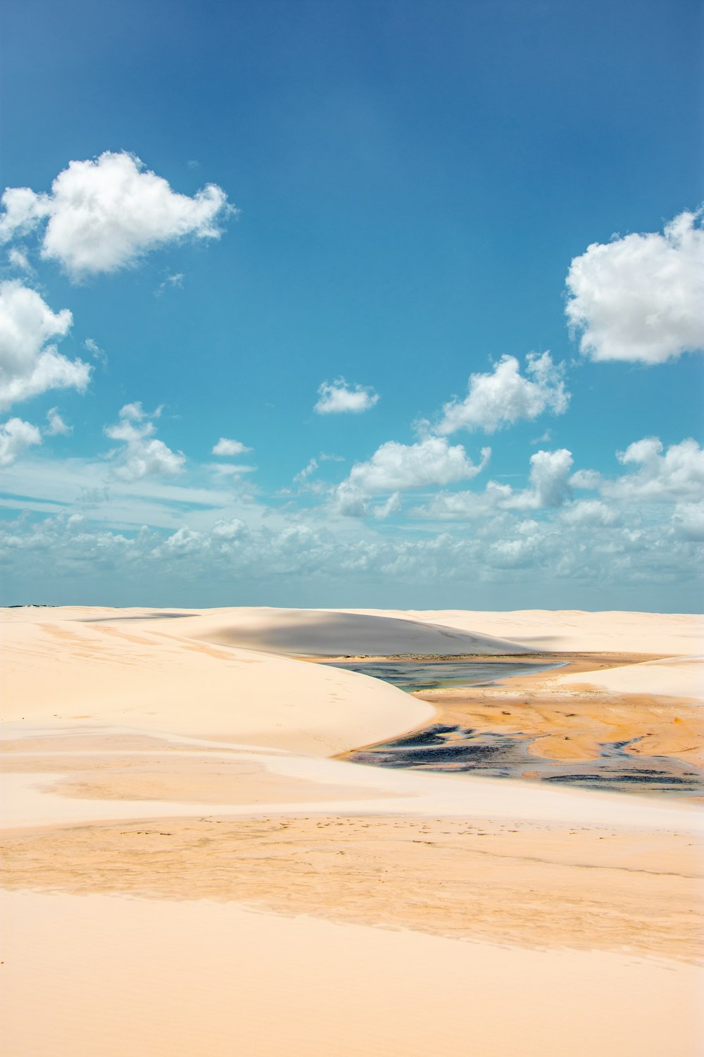 body of water on white sand