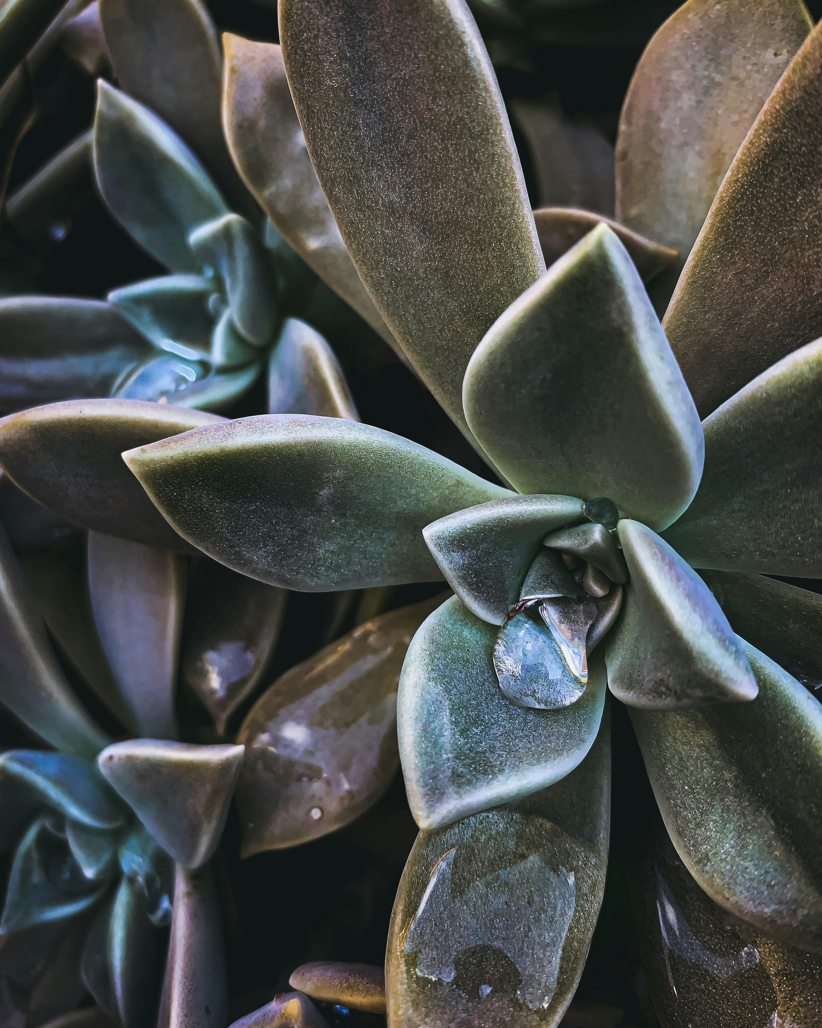 Photo by team_bryan_creative