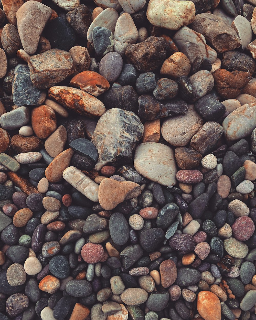 assorted-color pebbles