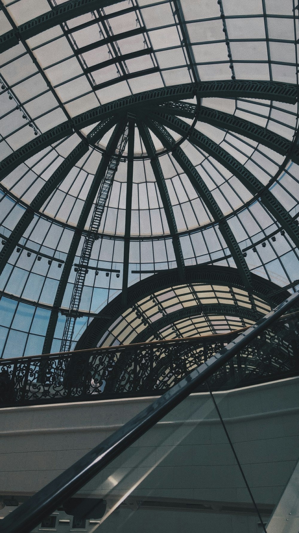 an escalator in a building with a glass roof